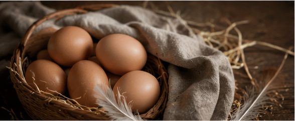 Cesto di uova fresche avvolte in un telo di lino